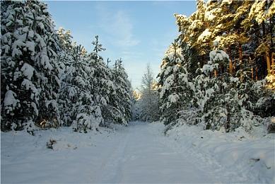 《幻兽帕鲁》Steam销量破1500万 Xbox玩家数破1000万